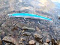 Zander Wobbler, Forellen Spoons, Crankbaits, Barsch Hecht Zander Mülheim - Köln Dünnwald Vorschau