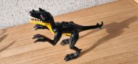 Lego Raptor Nordrhein-Westfalen - Menden Vorschau