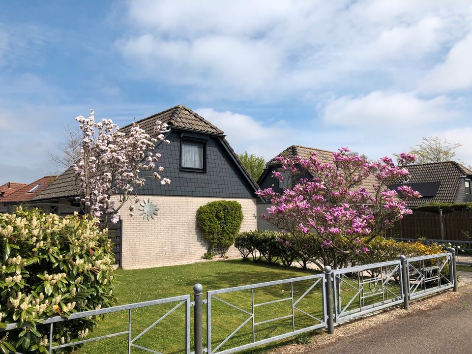 Urlaub im Ferienhaus in Südholland /Zeeland in Moers