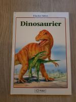 Kinder Buch Dinosaurier, Fischer Mini Niedersachsen - Kalefeld Vorschau