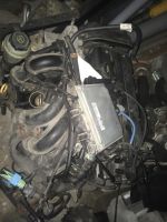 Motor 1,6 Ford Focus MK2 / Volvo V50 Brandenburg - Groß Kienitz Vorschau