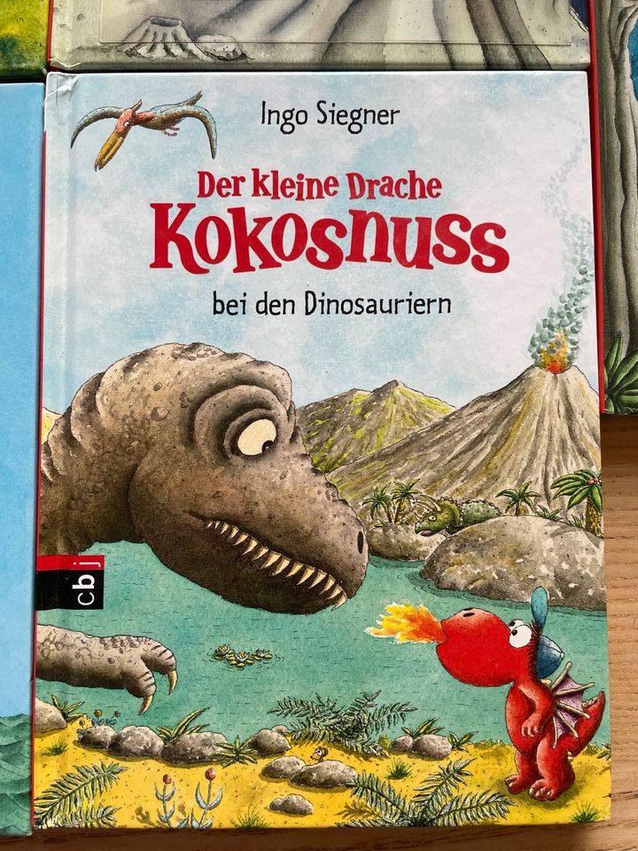 Der Kleine Drache Kokosnuss - verschiedene Teile in Braunschweig