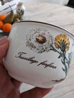 Teetasse von Botanica Villeroy & Boch, 6 Stück Bayern - Kempten Vorschau