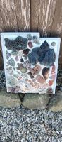 Bild mit Steinen und Kristallen ( Scheunenfund) Schleswig-Holstein - Bosau Vorschau