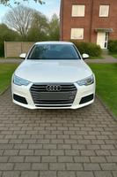 Audi A5 40 TFSI Sportback Bielefeld - Stieghorst Vorschau