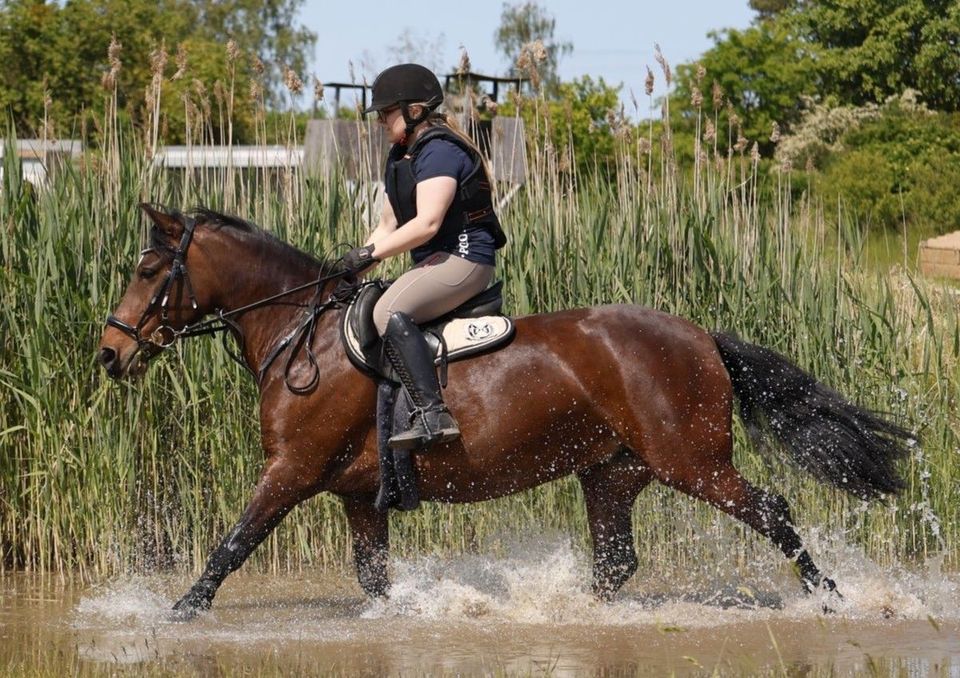 (Online-)Reitunterricht für Anfänger & Fortgeschrittene in Hoppegarten