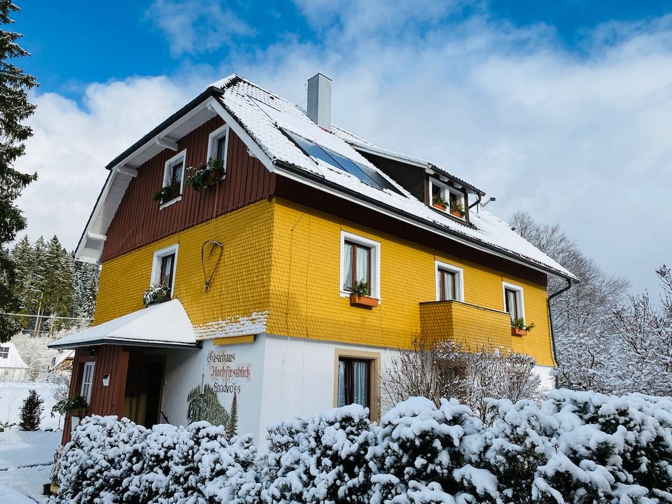 Apartmenthaus & Retro-Oase mit 7 Appartements zentral in Titisee (Hochschwarzwald) Provisionsfrei in Titisee-Neustadt