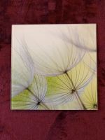 Glasbild 30x30 Pusteblumen Grün Weiß Natur filigran Neupreis 22€ Brandenburg - Fürstenberg/Havel Vorschau