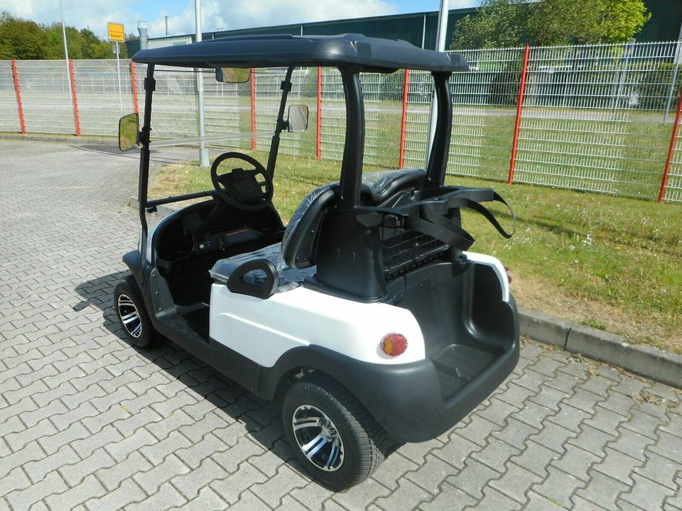 WSM Golfcart EX1300 Elektrofahrzeug Golfcar in Satteldorf