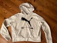 Puma Sweatshirt wollweiß Gr. S 36/38 Brandenburg - Teltow Vorschau