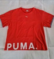 Puma Shirt Brandenburg - Brück Vorschau