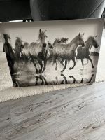 Bild auf Keilrahmen „Pferde“ Hessen - Lahntal Vorschau