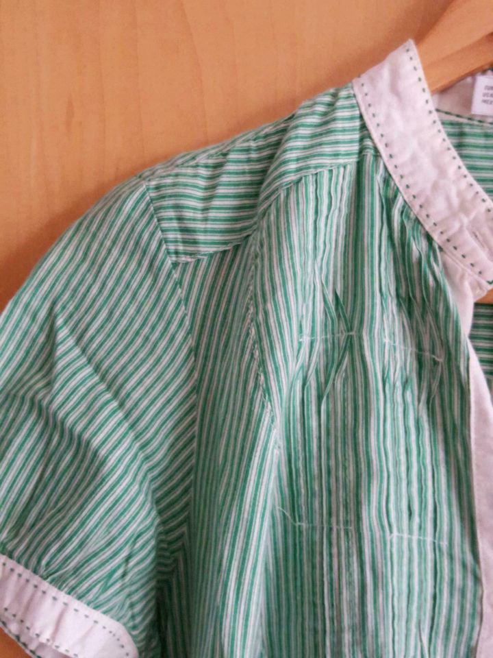 Zara Longbluse Bluse Kleid Grün weiß gestreift M in Schloß Holte-Stukenbrock
