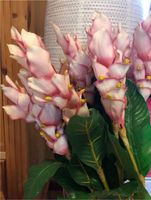 **Orchideen**Seidenblumen**rosa/pink**ca. 90 cm lang**12 Stück Schleswig-Holstein - Westerholz Vorschau