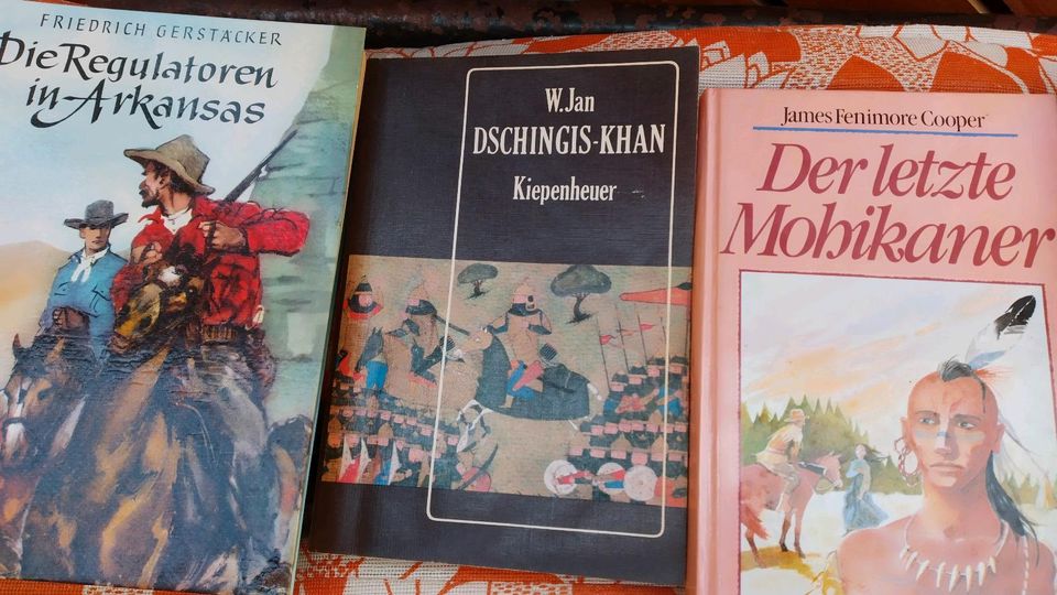 Abenteuer Bücher Nordamerika Mongolei Böhmen in Wusterwitz