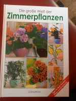 Die große Welt der Zimmerpflanzen Baden-Württemberg - Ertingen Vorschau