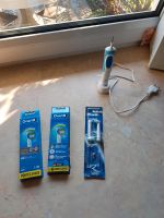 Oral B Elektrische Zahnbürste mit 8 Bürsten Brandenburg - Bestensee Vorschau