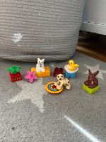 Lego Duplo Haustiere 10838 Hund Katze Hase Vogel Düsseldorf - Benrath Vorschau