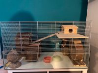 Hamster Nagarium Berlin - Reinickendorf Vorschau