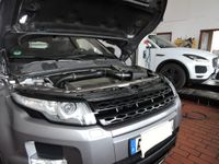 Land Rover Range Rover Werkstatt Inspektion Zahnriemen Bremse Bayern - Ursensollen Vorschau