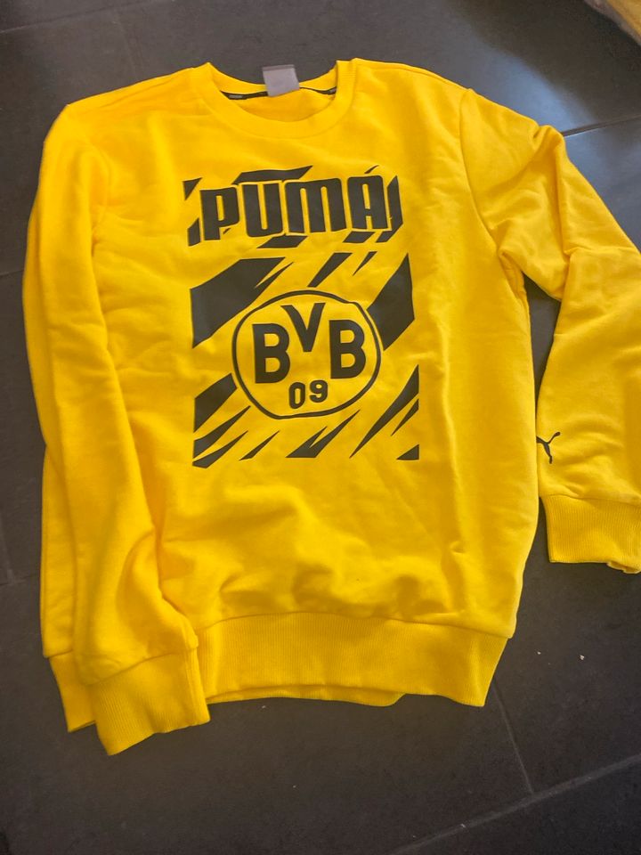 BVB Borussia Dortmund Pulli in Tamm