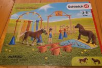 Schleich Farm World Pony Agility Training Nordrhein-Westfalen - Borchen Vorschau