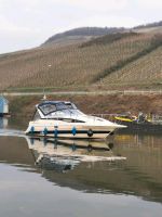 Bayliner2855 mit NEUEN MOTOR! Rheinland-Pfalz - Bernkastel-Kues Vorschau