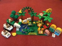 Lego Duplo Zootiere Zoo Affe Palme Fisch Baum Zebra Giraffe Löwe Baden-Württemberg - Ubstadt-Weiher Vorschau