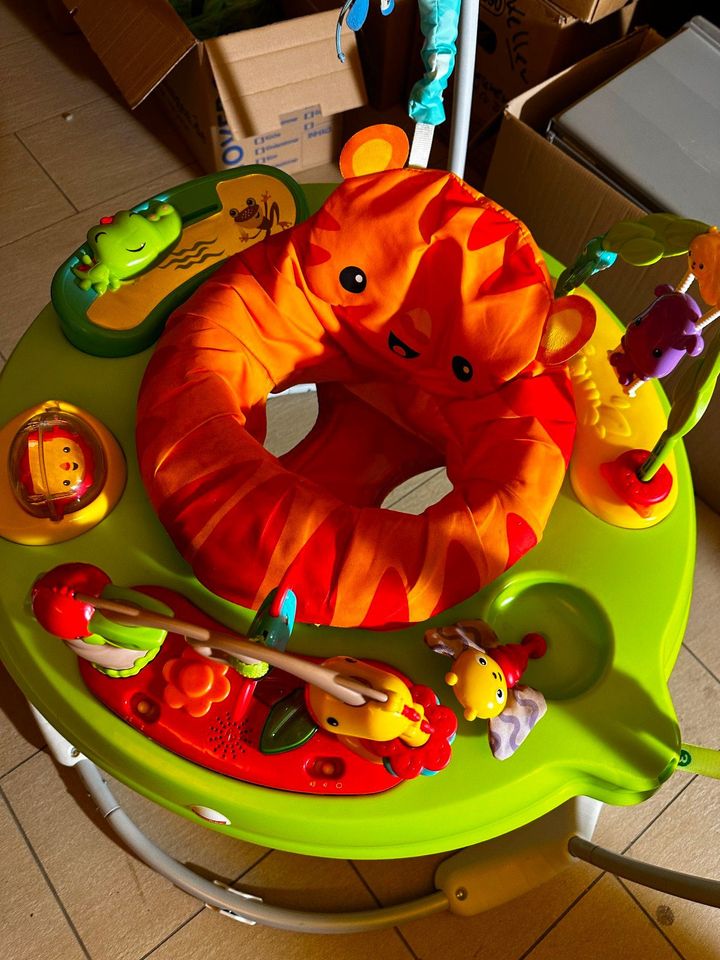 Baby Kinder Fisher-Price Jumperoo Hüpf-Wippe / Lichter / Musik in Aalen