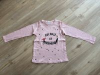 Zara Sweatshirt, Longsleeve, Gr. 116, Mädchen, NEU Hannover - Ahlem-Badenstedt-Davenstedt Vorschau