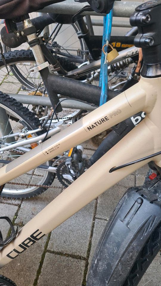 Cube nature pro  Fahrrad top Zustand Herren grs M in München