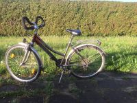 28 er Trekking Damenrad, Alu- Bike Sachsen - Schleife (Ort) Vorschau