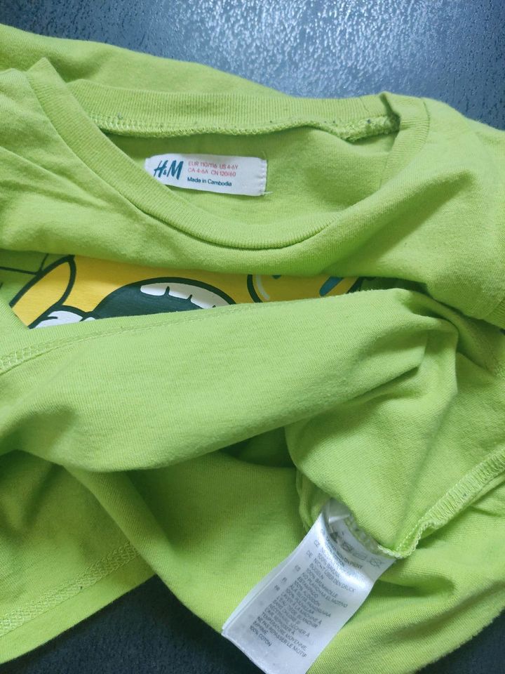 Junge 110 116 T-Shirts: H&M Minion/ Donald / Polo + Brasil Trikot in Albachten