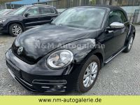 Volkswagen New Beetle*2.Hand*Tüv Neu* Nordrhein-Westfalen - Werdohl Vorschau