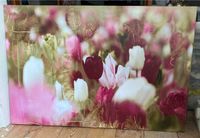 Kunstdruck Tulpenfeld wunderschöne Farben Niedersachsen - Ritterhude Vorschau