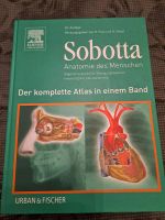 Sobotta Anatomie des Menschen (komplett) Kreis Pinneberg - Bilsen Vorschau