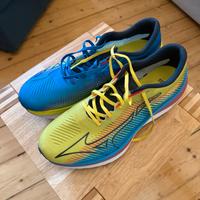 Mizuno Wave Rebellion Pro | 44,5 Hessen - Wiesbaden Vorschau