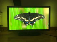 Fernseher Philips Ambilight 94cm Niedersachsen - Wunstorf Vorschau