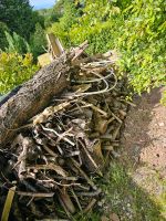 Holz zu verschenken Saarland - Illingen Vorschau