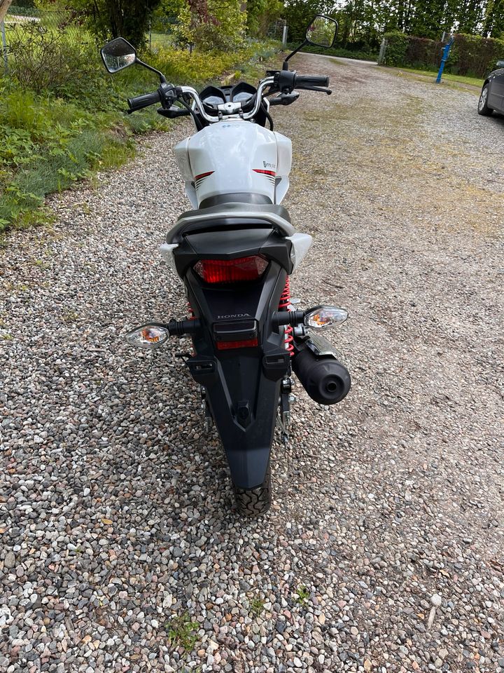 Honda CB125F in Schashagen