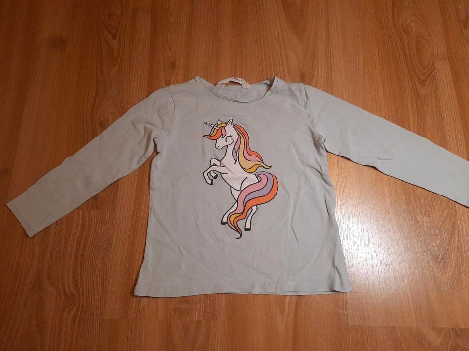 2 Langarmshirts Shirts Einhorn Gr. 110/116 von H&M in Leipzig