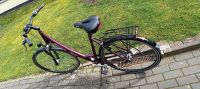 Damenfahrrad 28" Pegasus Häfen - Bremerhaven Vorschau