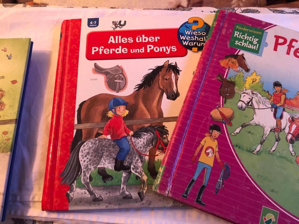 Alles über Pferde und Ponys Wieso weshalb warum? in Otter