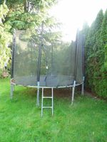 Trampolin 3 Meter mit Fangnetz und Leiter ABHOLUNG Nordrhein-Westfalen - Windeck Vorschau