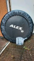 ALEX Trampolin ca. 98 cm Durchmesser Kreis Pinneberg - Bönningstedt Vorschau