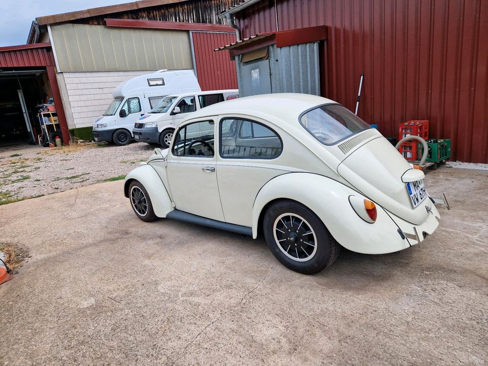 67er VW Käfer in Mannheim