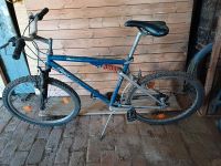 Fahrrad Mountainbike Brandenburg - Neustadt (Dosse) Vorschau