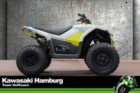 CFMOTO Cforce EV 110, Kinderquad, sofort lieferbar Niedersachsen - Seevetal Vorschau