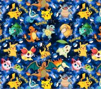 Pokemon Sweat Stoff Sommersweat Sachsen - Bad Elster Vorschau