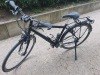 Trekkingrad Reiserad Rohloff Speedhub mit Exzenter-Tretlager Bonn - Bonn-Zentrum Vorschau